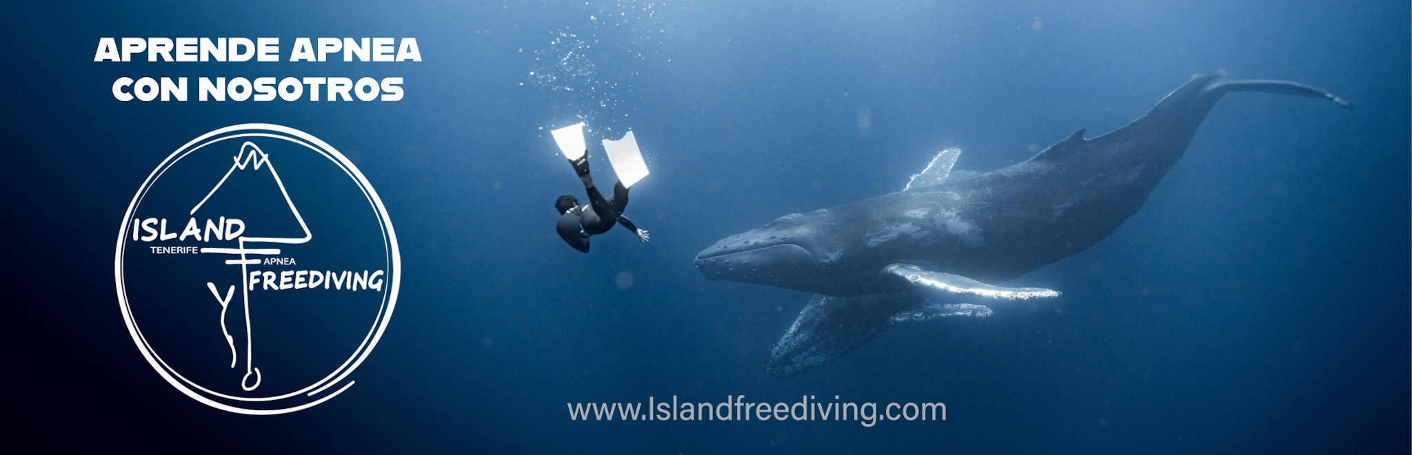 Anuncio de Island Freediving